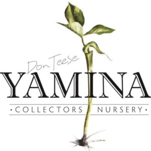 Yamina Collectors Nursery