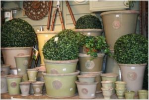 Longview Garden Centre - Pots & Containers