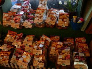 Longview Garden Centre - Potatoes