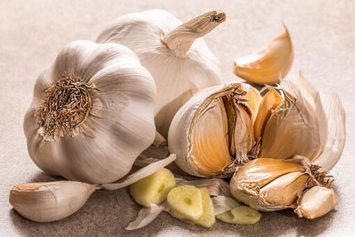Italian white garlic hybrid